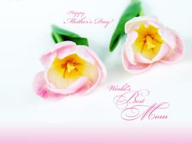 Mothers Day Backgrounds