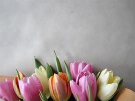 Mothers Day Web Picture Backgrounds