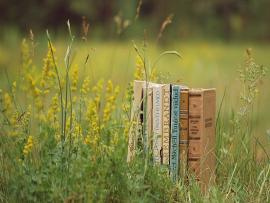 Natural Book Backgrounds