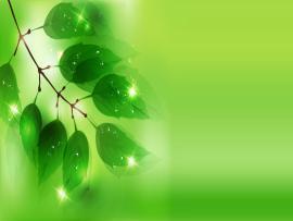 Natural Green Art Backgrounds