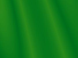 Natural Green Pattern Slides Backgrounds