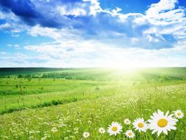 Nature Good Morning Clipart Backgrounds