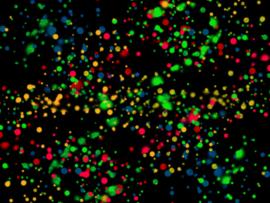 Neon Paint Splatter image Backgrounds