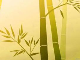 Orange Bamboo PowerPoint Template Download Backgrounds