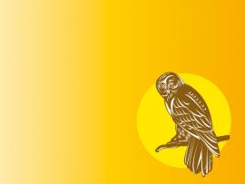 Owl Animal Yellow Slides Backgrounds