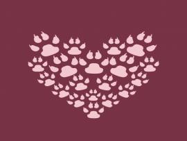 Paw Print Heart Clipart Backgrounds