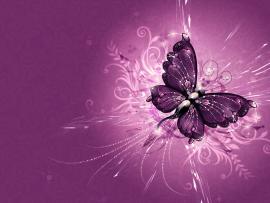 Pics Photos   Pink Butterfly Frame Backgrounds
