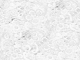 Pics Photos  Lace Pattern On White   Quality Backgrounds