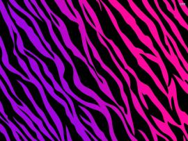 Pics Photos  Pink and Purple Zebra Print Clip Art Quality Backgrounds