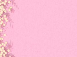 Pics Photos  Pink Flower Template Presentation Backgrounds