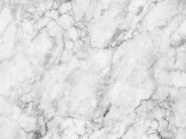 Pics Photos  White Marble Plate Marble Or Texture Slides Backgrounds