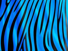 Pics Photos  Zebra Print Blue Template Backgrounds