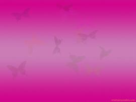 Pink Animated Wallpaper Backgrounds