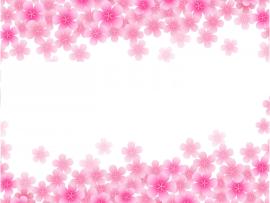 Pink Blooming Backgrounds