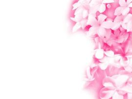 Pink Flowers Clipart Backgrounds