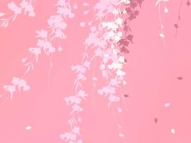 Pink image Backgrounds