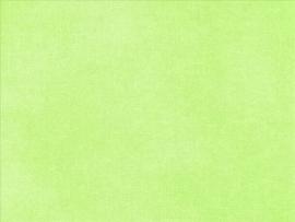 Plain Light Green  Latest Laptop Art Backgrounds