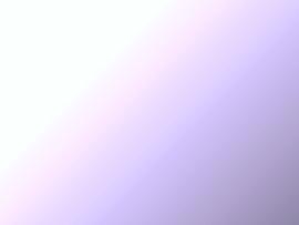 Plain Purple Photo Backgrounds