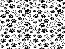 Puppy Paw Print Seamless  Pet Paw Backgrounds