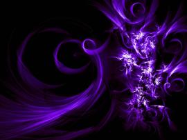 Purple Abstract Picture Backgrounds