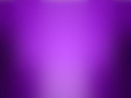 Purple Blurry Frame Backgrounds