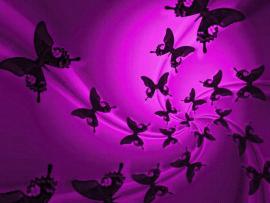 Purple Butterfly Download Backgrounds