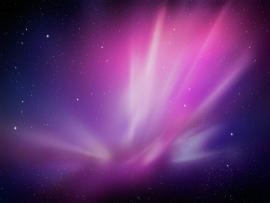 Purple Design Picture Wallpaper Backgrounds