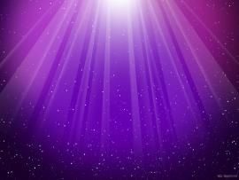 Purple Light Backgrounds