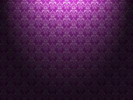 Purple Modern Photo Backgrounds