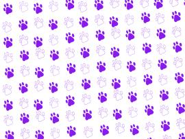 Purple Paw Print Frame Backgrounds