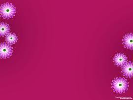 Purple Pink Floral Download Backgrounds