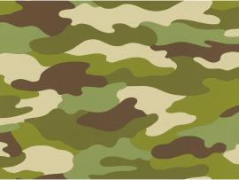 Rasch Camouflage Green 222821 Pictures Photo Backgrounds