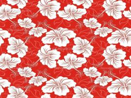 Red Hawaiian Flower Quality Backgrounds