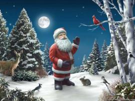 Santa Claus Quality Backgrounds