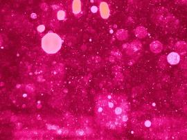 Schnee Pink Glitter Template Backgrounds