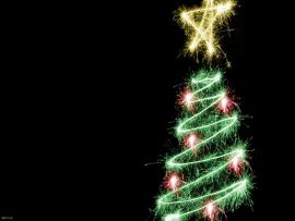 Shimmering Christmas Tree On Christmas Black   Download Backgrounds