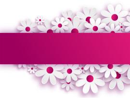 Signboard Flower Backgrounds