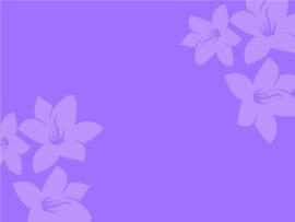 Simple Purple Flower Graphic Backgrounds