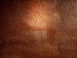 Skin Leather Texture Backgrounds