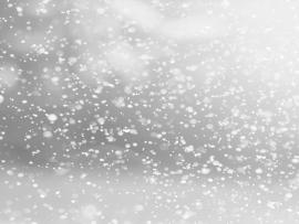 Snow Blown Winters Backgrounds
