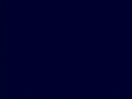 Solid Navy Blue Navy Blue safari Quality Backgrounds