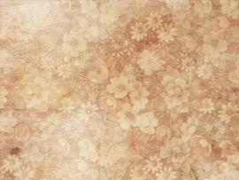 Texture Floral Texture  HD Picture Backgrounds