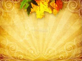 Thanksgiving Happy Thanksgiving image Backgrounds