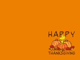 Thanksgiving image Backgrounds