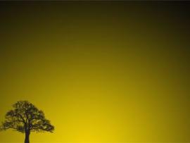 Tree Sunset Template PPT Template Backgrounds