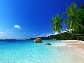 Tropical Beach Design Backgrounds