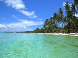 Tropical Beach Quality Backgrounds