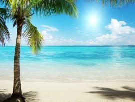 Tropical Beach Widescreen Backgrounds