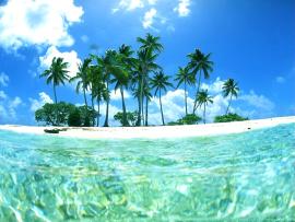 Tropical Beaches Graphic Backgrounds