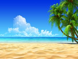 Tropical Beachs Tropical Beach 5 Tropical Beach   Picture Backgrounds